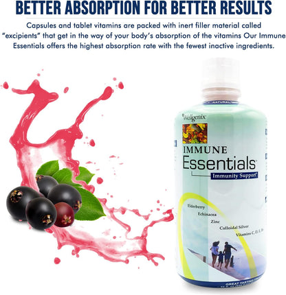 Wellgenix Immune Essentials – 12 in 1 Natural Immune Support Liquid Multivitamin, Fruit Punch, 946 ml