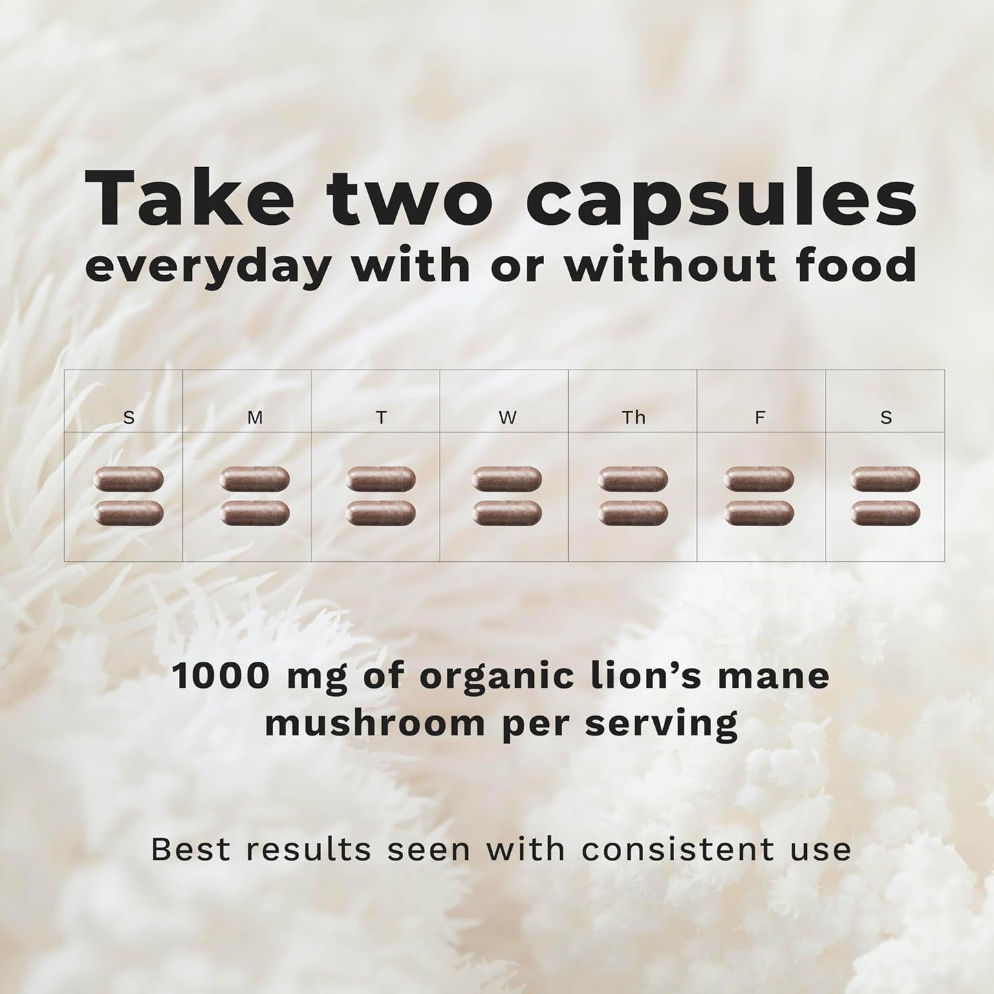 LifeSeasons Essentials Lion's Mane Mushroom - Brain Health & Mood Support - 1000mg - 60 Capsules - görsel 3