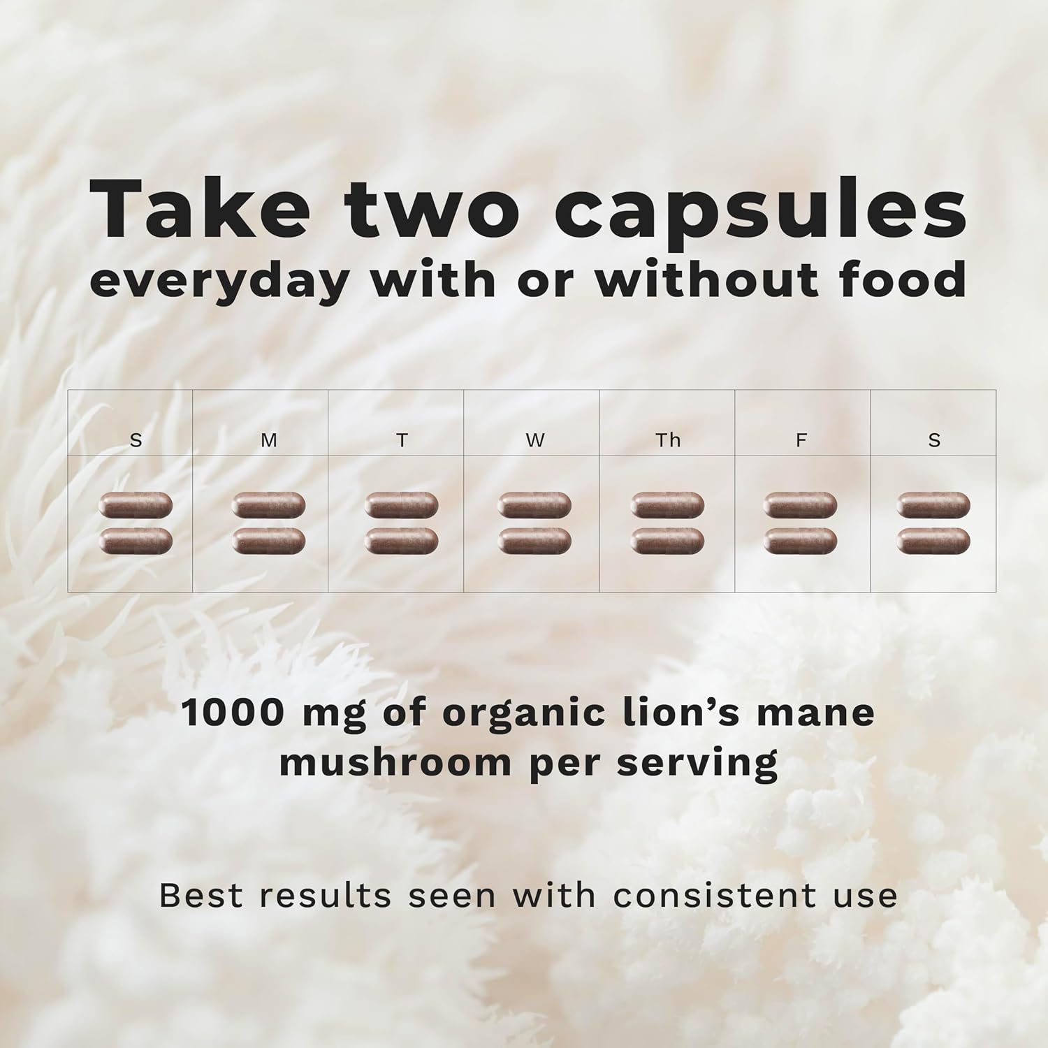 LifeSeasons Essentials Lion's Mane Mushroom - Brain Health & Mood Support - 1000mg - 60 Capsules - görsel 3