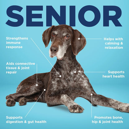 Vetericyn All-in-1 Multifunctional Senior Dog Supplement – Digestive Enzymes, Glucosamine Chondroitin, Probiotics, Omega-3 & More – 90 Count