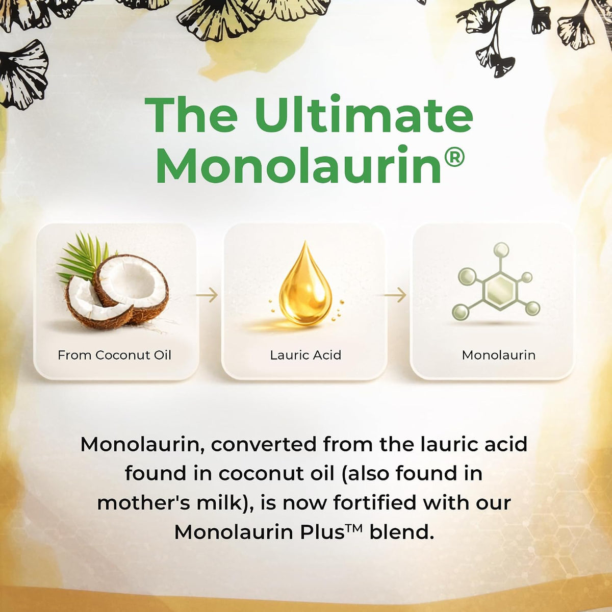 UltraLaurin Monolaurin Supplement – 3,000 mg Coconut-Derived Pellets – 595 g (200 Servings) – Vegan, Non-GMO - görsel 5