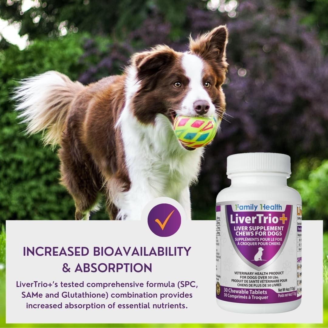 Comprehensive Liver Support Supplement for Smaller Dogs. Flavourful Chewable Tablets Combining SAMe, SPC, Silybin A+B, + Glutathione 30Ct (Small - Medium) - görsel 7