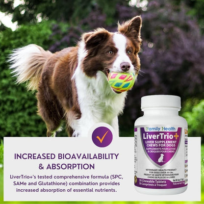 Comprehensive Liver Support Supplement for Smaller Dogs. Flavourful Chewable Tablets Combining SAMe, SPC, Silybin A+B, + Glutathione 30Ct (Small - Medium)