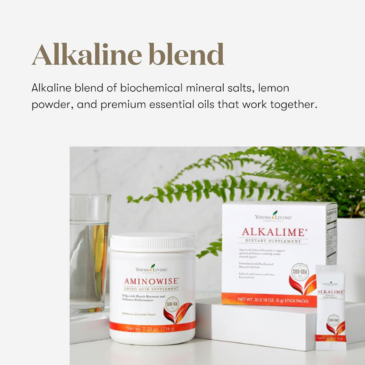 Young Living AlkaLime Stick Packs | 30 Sachets | Vitamin & Mineral Supplement | Digestive Wellness | Gentle on the Stomach | Infused with Calcium, Potassium, & Sodium - görsel 5