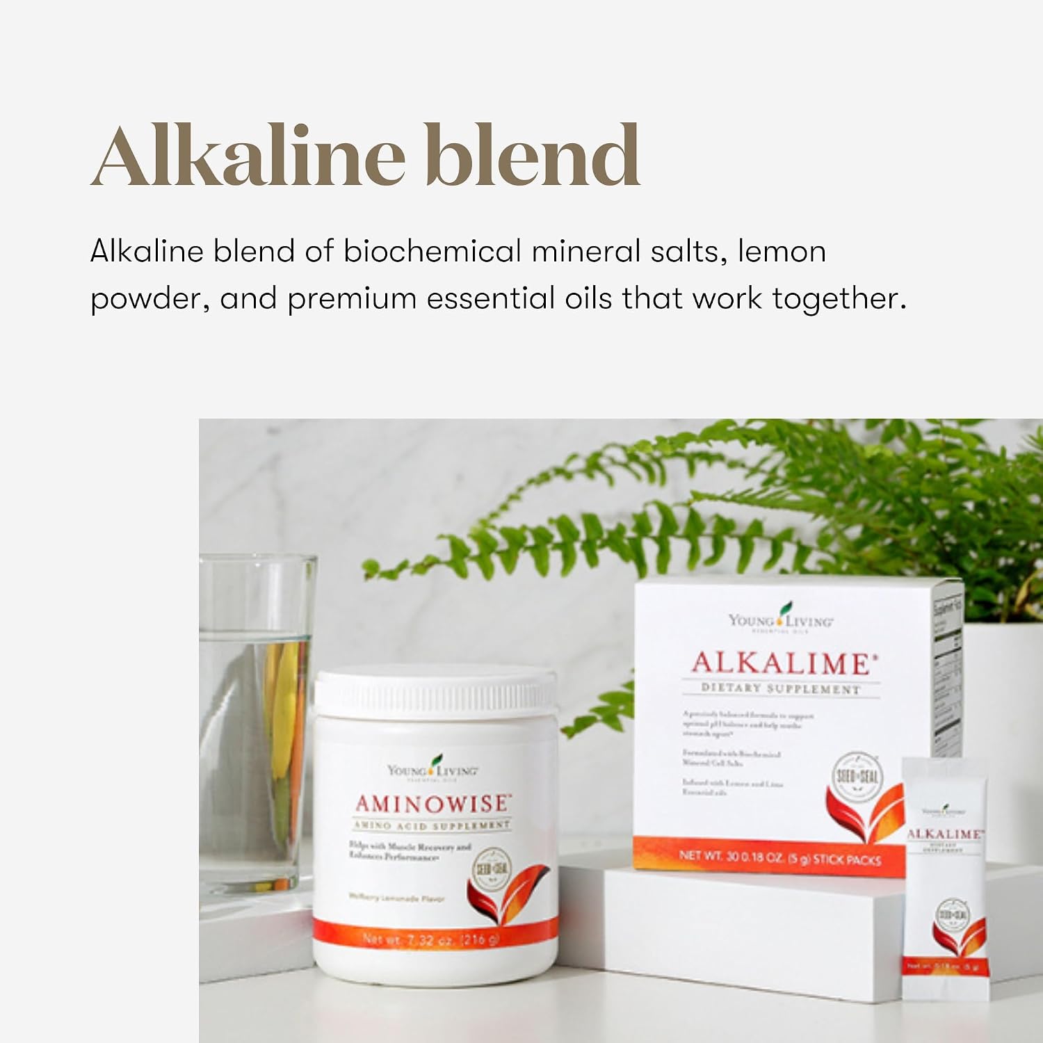 Young Living AlkaLime Stick Packs | 30 Sachets | Vitamin & Mineral Supplement | Digestive Wellness | Gentle on the Stomach | Infused with Calcium, Potassium, & Sodium - görsel 5