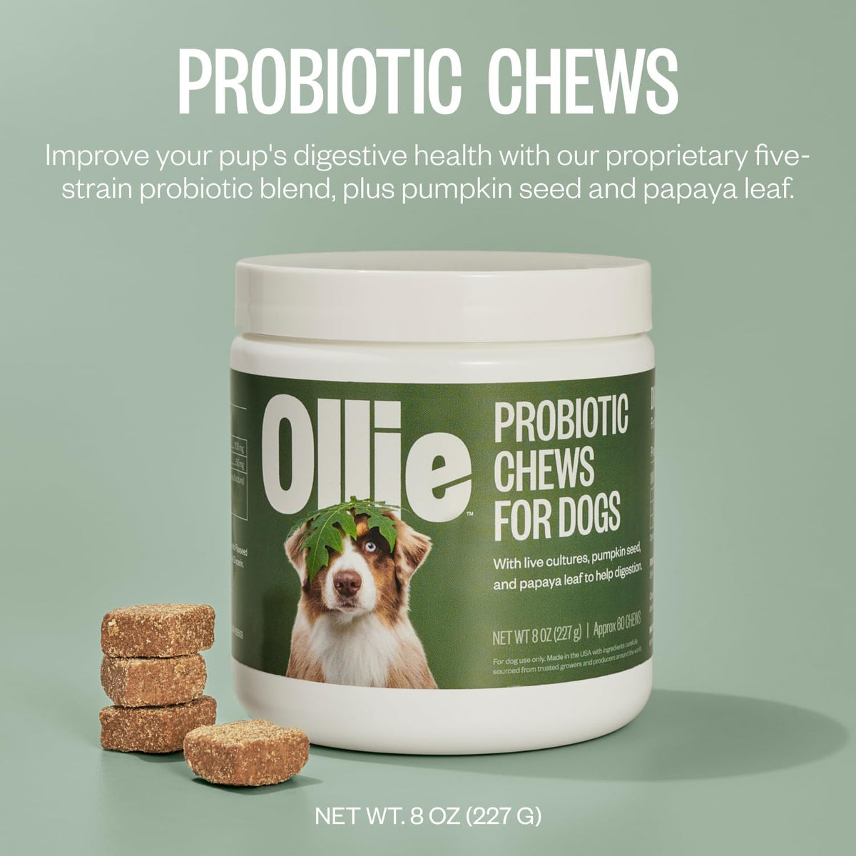 Ollie Belly Rubs Probiotic Dog Chews for Digestive Health, 60 Chews - görsel 3