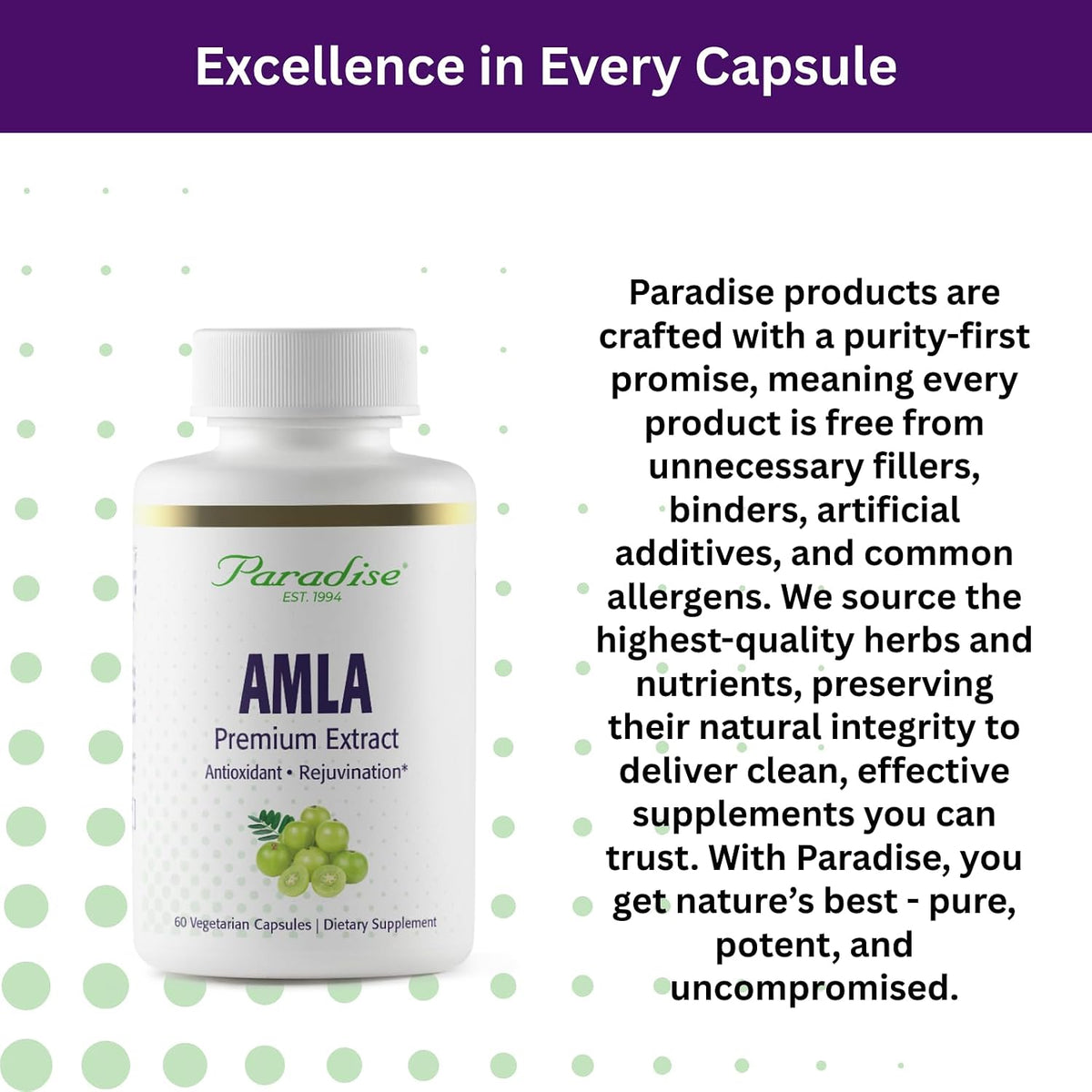 Paradise Herbs Amla, 250 mg Organic Whole Spectrum Vitamin C, Antioxidant, Superfood, Quality Ayurvedic Supplement, 60 Vegetarian Capsules - görsel 5