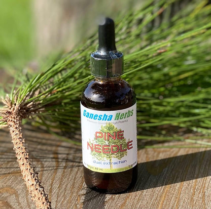 Ganesha Herbs Pine Needle Liquid Tincture – Dual Extract, 2 fl oz