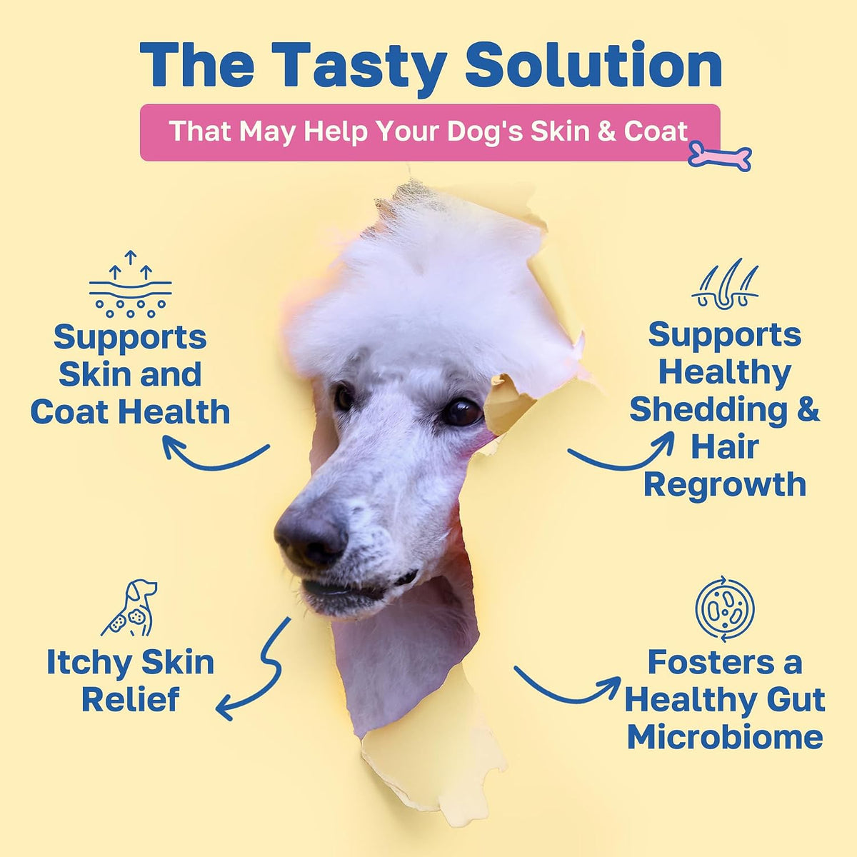 Happy Paws Skin and Coat Supplement for Dogs - Itch & Allergy Relief, Dry Skin Comfort, Shedding Care with Coconut Oil & Vitamin B12, Vegan Chicken Flavour, 200 Chews - görsel 2