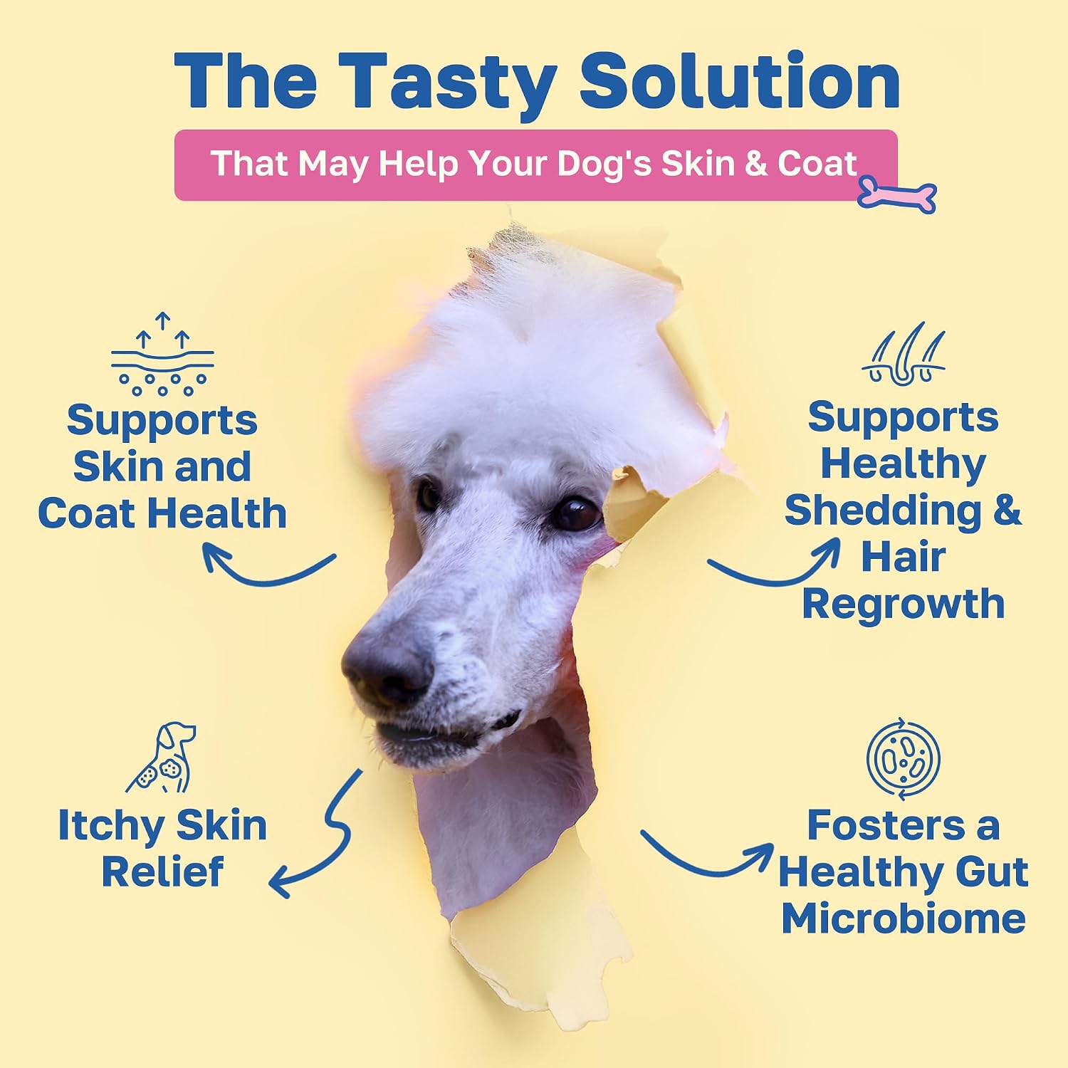 Happy Paws Skin and Coat Supplement for Dogs - Itch & Allergy Relief, Dry Skin Comfort, Shedding Care with Coconut Oil & Vitamin B12, Vegan Chicken Flavour, 200 Chews - görsel 2