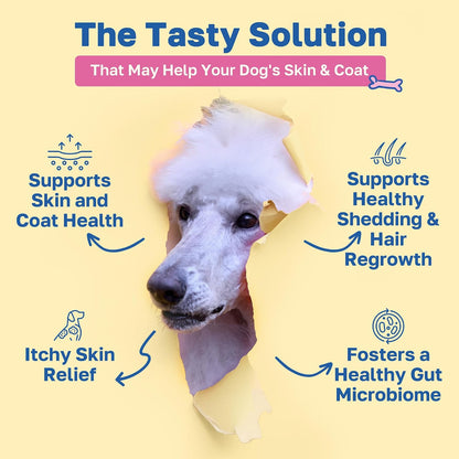 Happy Paws Skin and Coat Supplement for Dogs - Itch & Allergy Relief, Dry Skin Comfort, Shedding Care with Coconut Oil & Vitamin B12, Vegan Chicken Flavour, 200 Chews