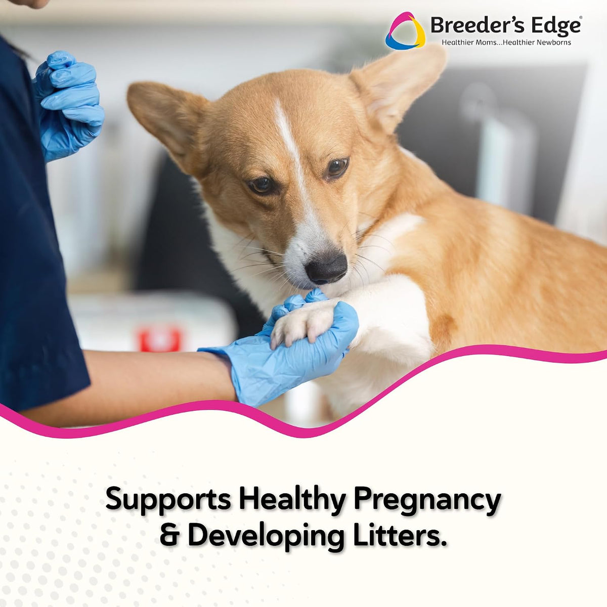 Breeder’s Edge Problem Female - Hormonal Support Supplement for Female Dogs and Cats - görsel 2