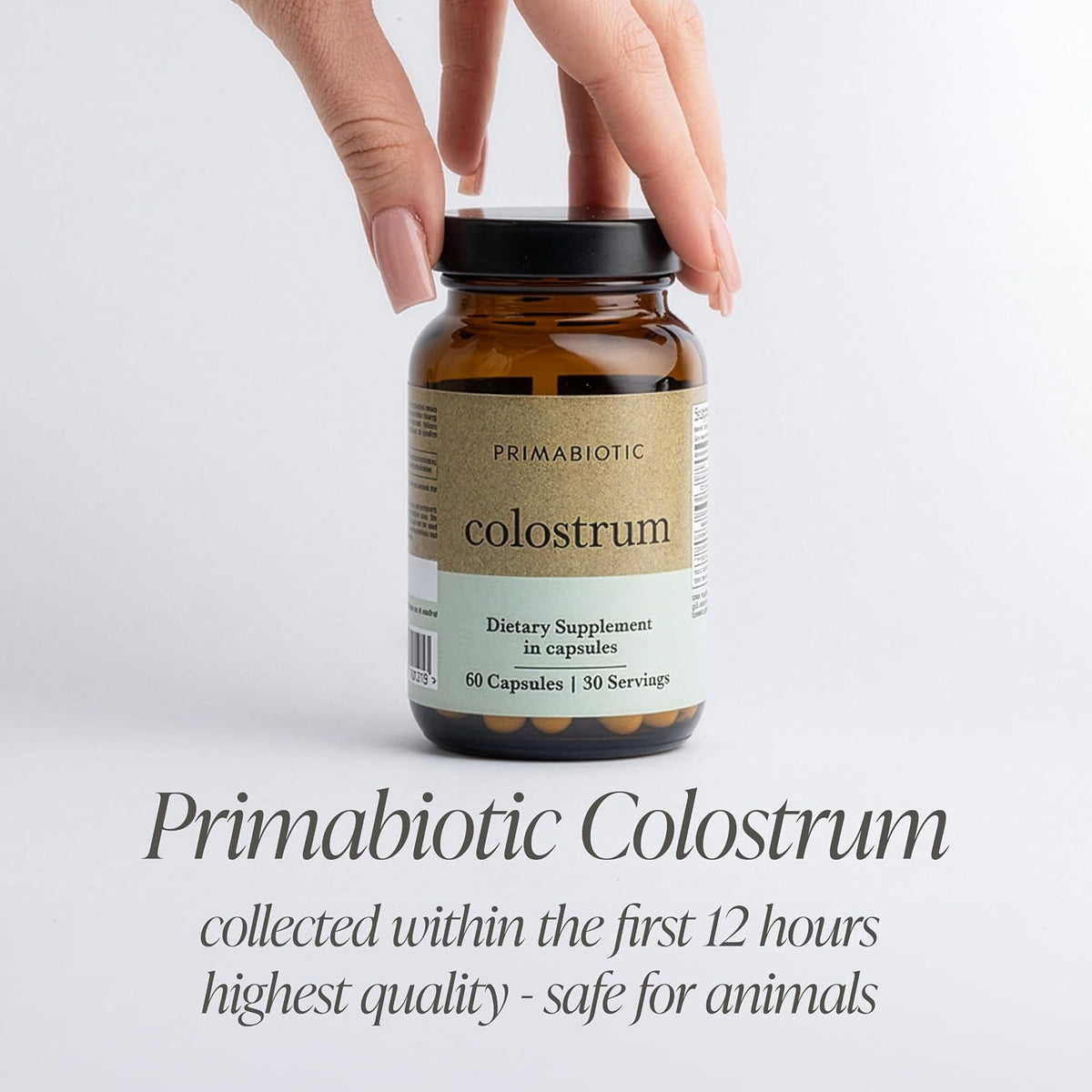 PRIMABIOTIC Colostrum – High Strength Bovine Colostrum Supplement – Pure & Concentrated Capsules – Immune & Gut Support - görsel 4