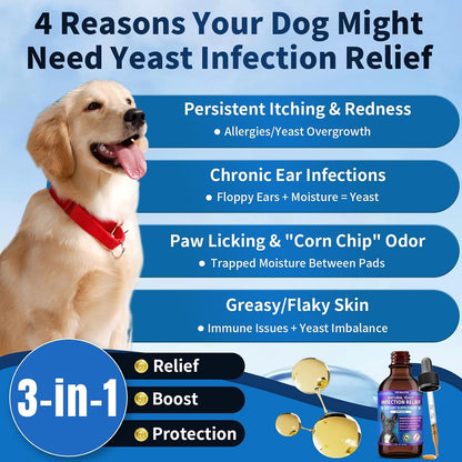 WEALLIN Natural Yeast Infection Treatment for Dogs - Probiotic-Powered Drops with 8-Herbal Blend, Bacon-Flavoured Oral Supplement for Skin, Ears, and Allergy Relief