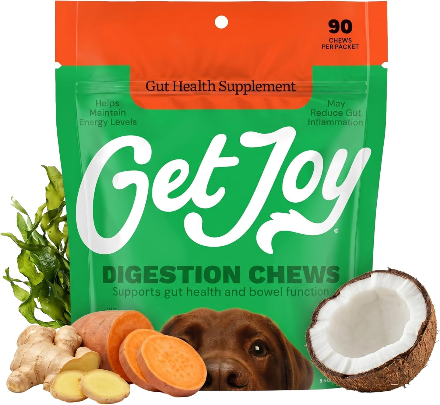 Get Joy Digestion Chews - Gut Health Supplement for Dogs with Prebiotics, Probiotics & Postbiotics, 90 Soft Chews - görsel 1