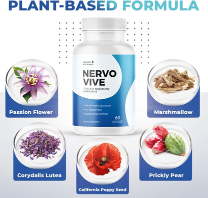 Nervovive – Botanical Capsules for Nerve Support, 60 Capsules (3-Month Supply)