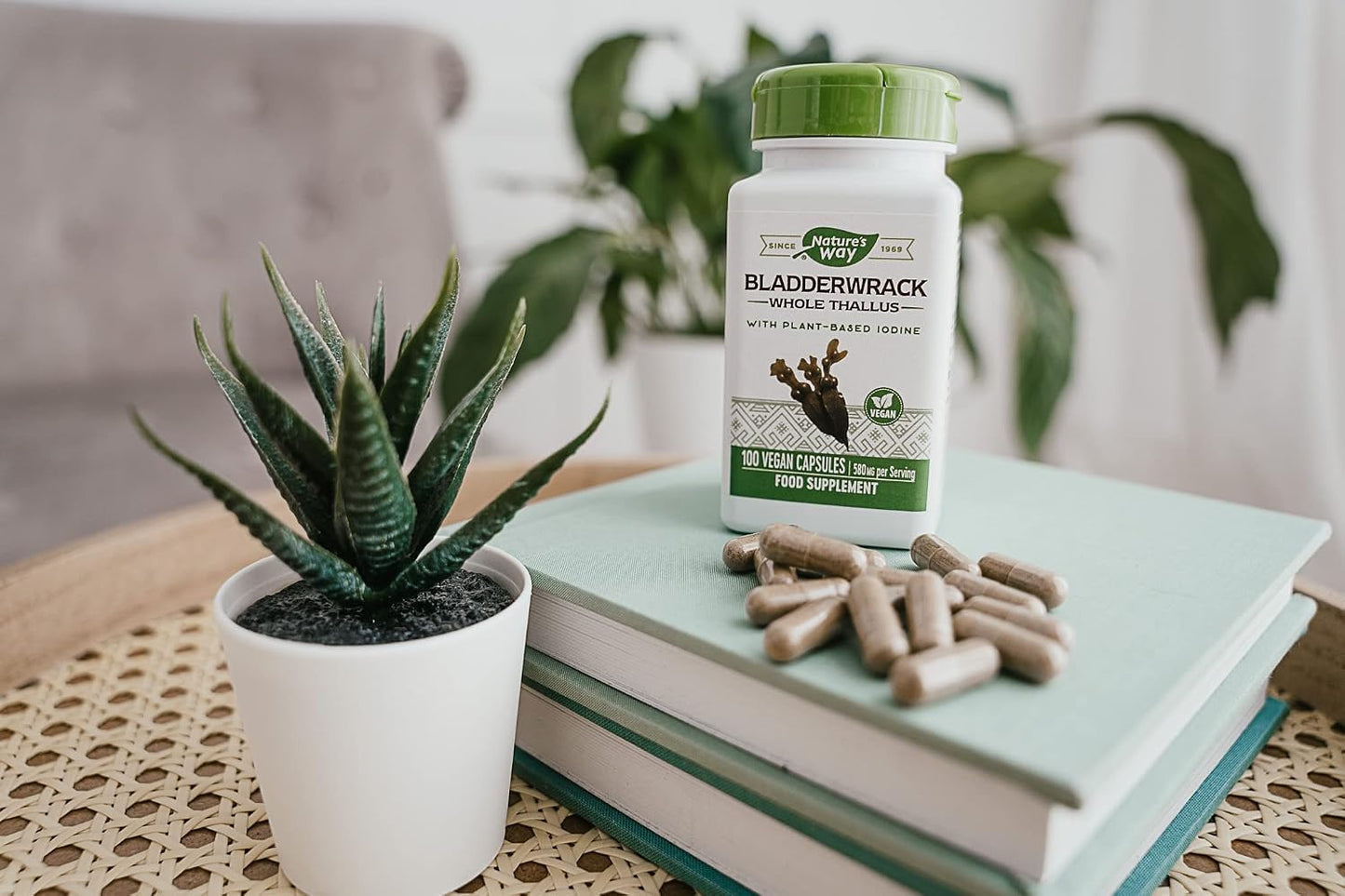 Nature's Way Bladderwrack - 100 Vegetarian Capsules - görsel 7