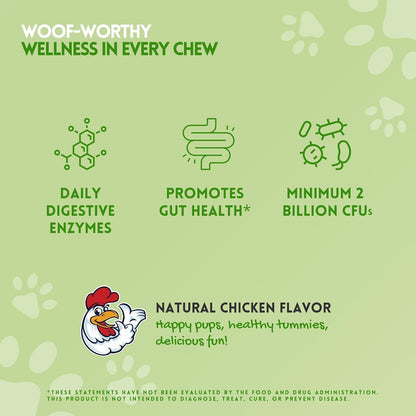 Herbion Pets Digestive Support Chews – Probiotics & Enzymes for Dogs, 120 Soft Chews