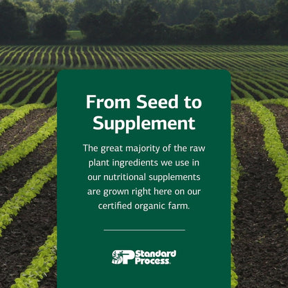 Standard Process Bio-Dent – Skeletal Health Food Supplement, 800 Tablets