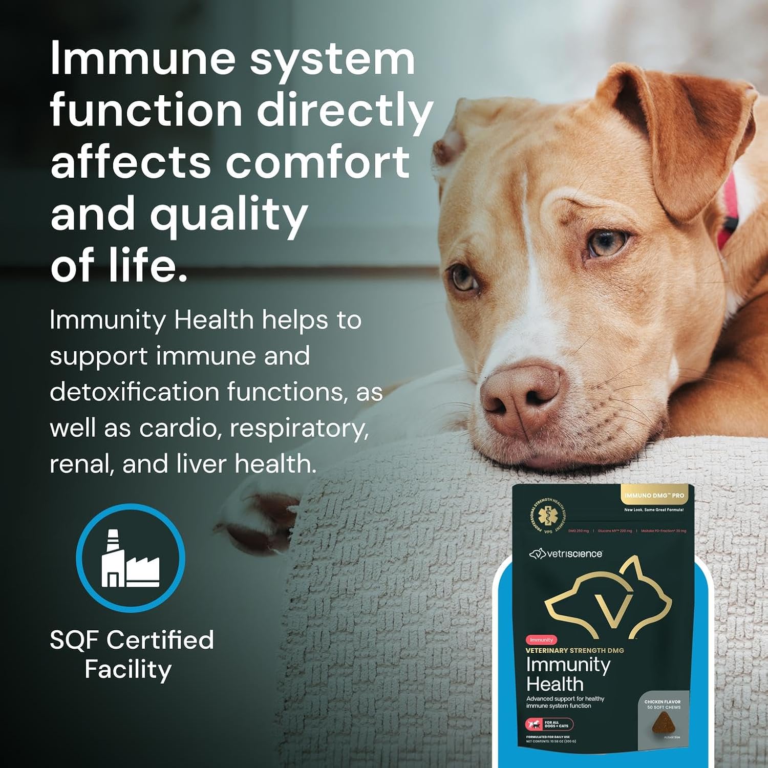 VETRISCIENCE Veterinary Strength DMG Immunity Health Chews - Immune System Support for Dogs & Cats - Liver Function Support - Antioxidant Support for Pets - Chicken Flavour - 50 Count - görsel 7