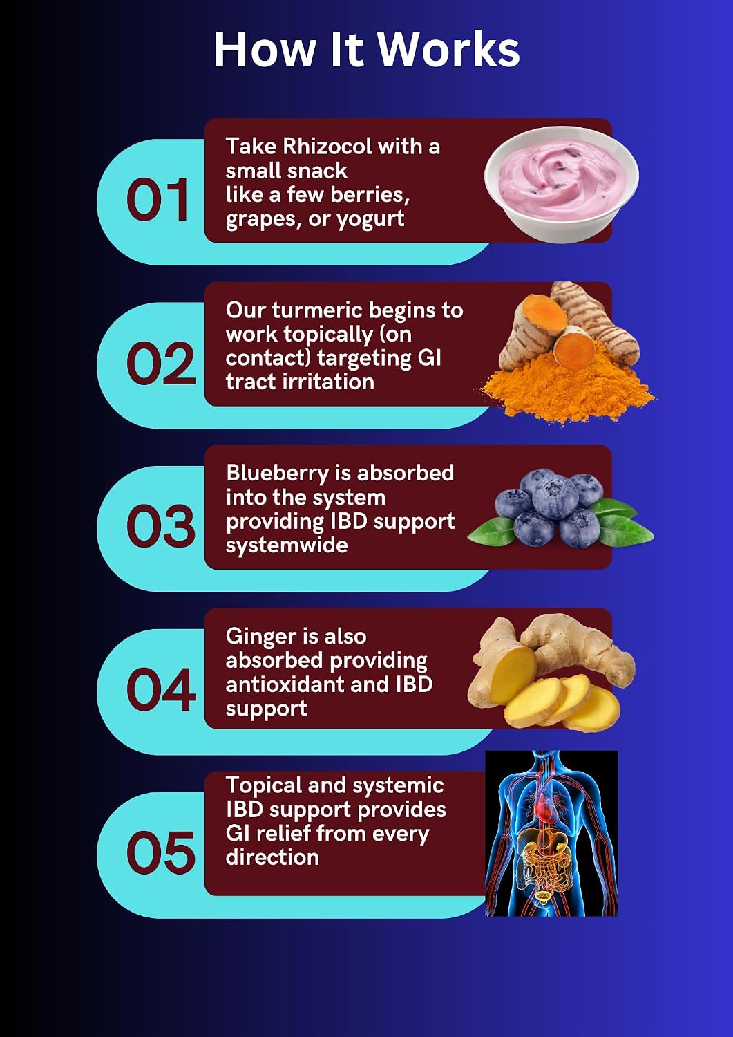 Rhizocol - Gut Health Supplement with Turmeric, Ginger & Blueberry Extract for Digestive Support - görsel 2
