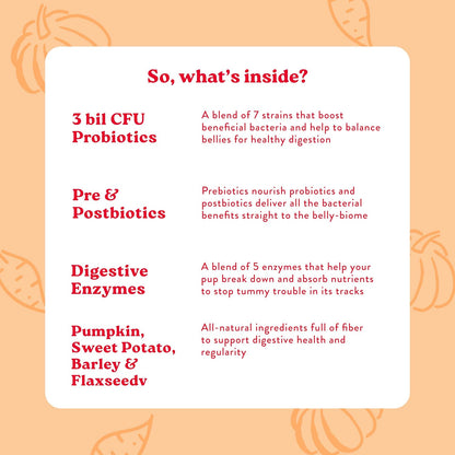 Bocce's Bakery Probiotic Supplement for Dogs, Daily Chews, Made in The USA with 7 Strains of Probiotics, Supports Digestion, Pumpkin & Sweet Potato, 60 ct