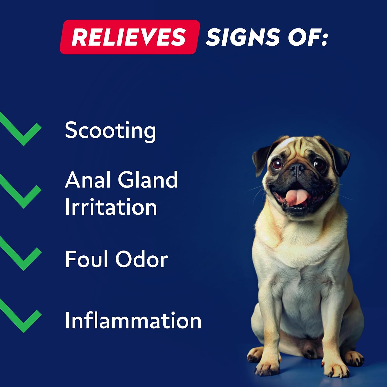 STRELLALAB Anal Gland Support Chews - Scooting Support - Digestive Enzymes, Prebiotics & Fibre Supplement for Dogs 120 Chews - görsel 4