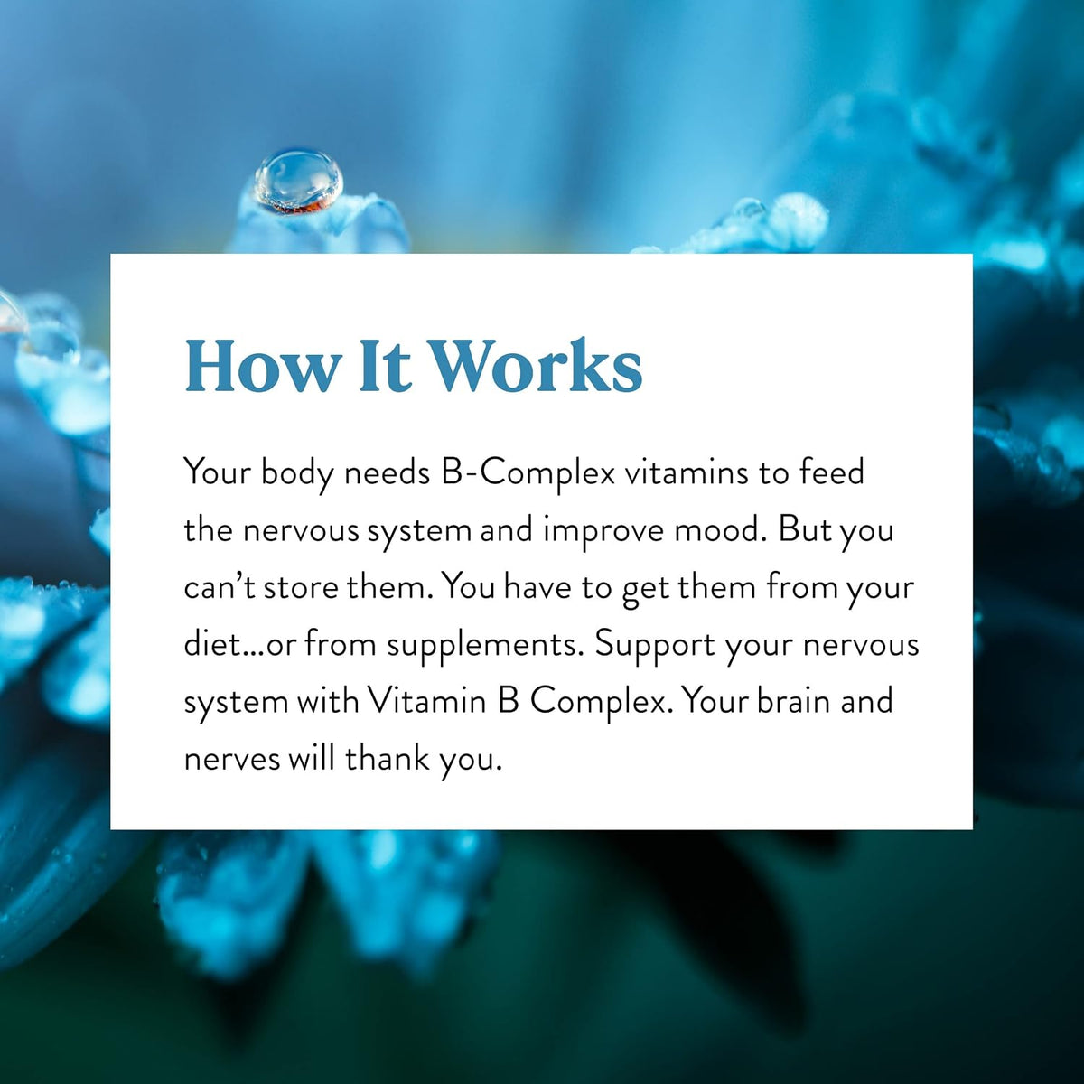 Nature's Sunshine Vitamin B-Complex 100 Capsules - görsel 6