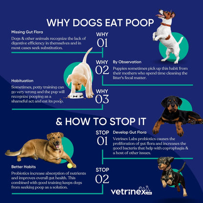 Vetrinex Labs Coprophagia Deterrent & Probiotic Powder for Dogs (120g)