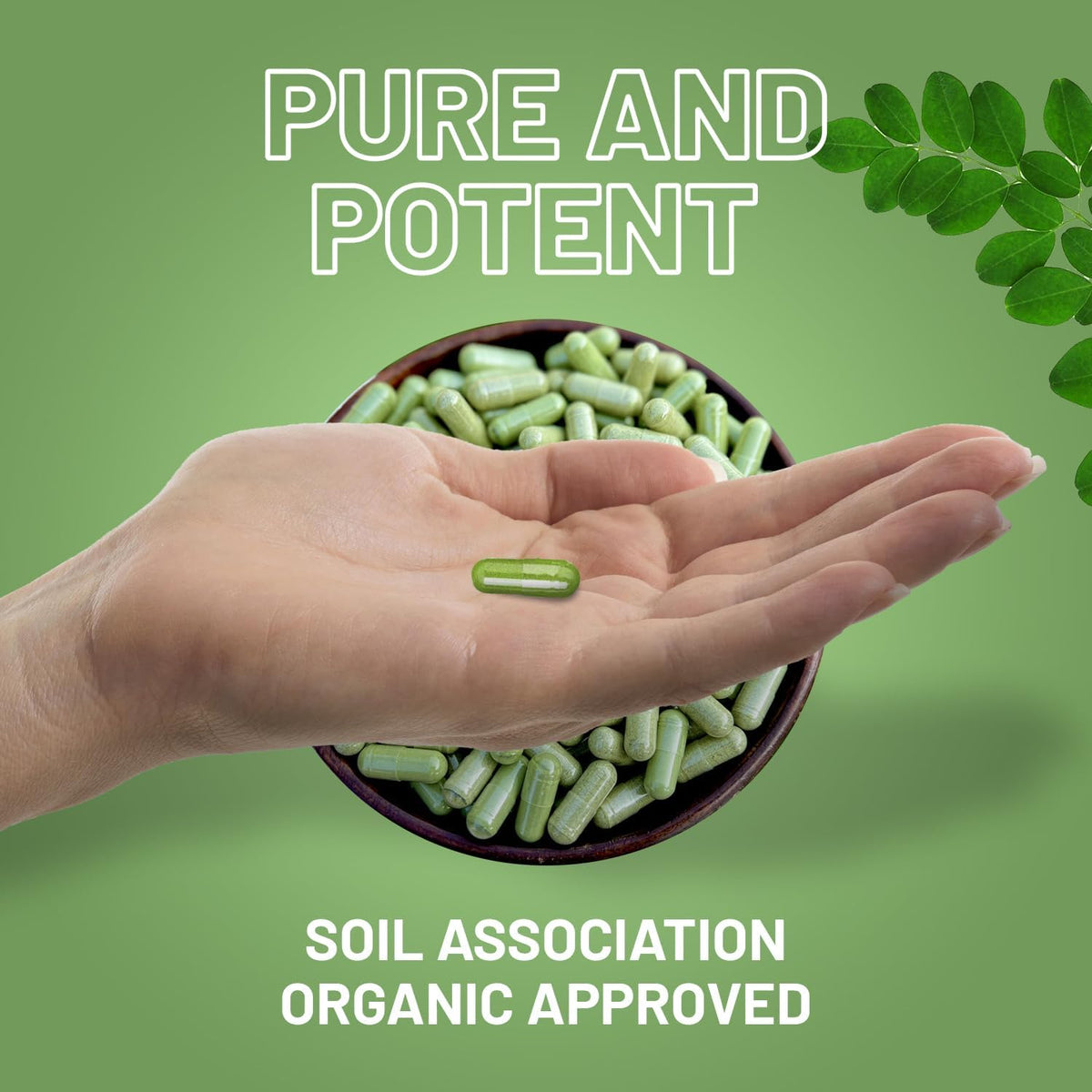 Prowise Health care Moringa Capsules 2000mg - 120 Vegan Capsules - görsel 5