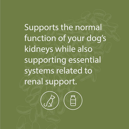 Standard Process Canine Renal Support – Dog Supplement for Kidney, Liver & Heart Health, 110 g Powder