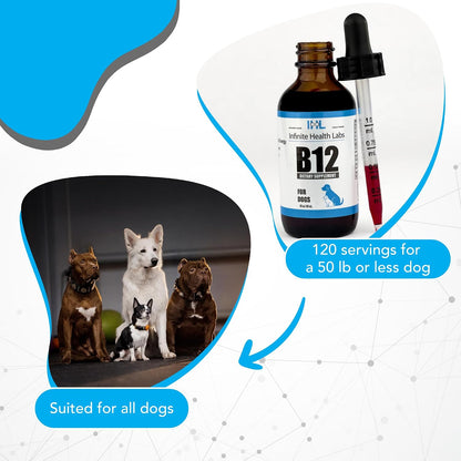 Liquid Vitamin B12 for Dogs – Methylcobalamin Supplement