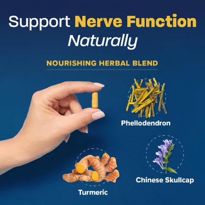Redd Remedies Nerve Shield, Supports Healthy Nerve Structure and Circulation, 120 Vegan Capsules
