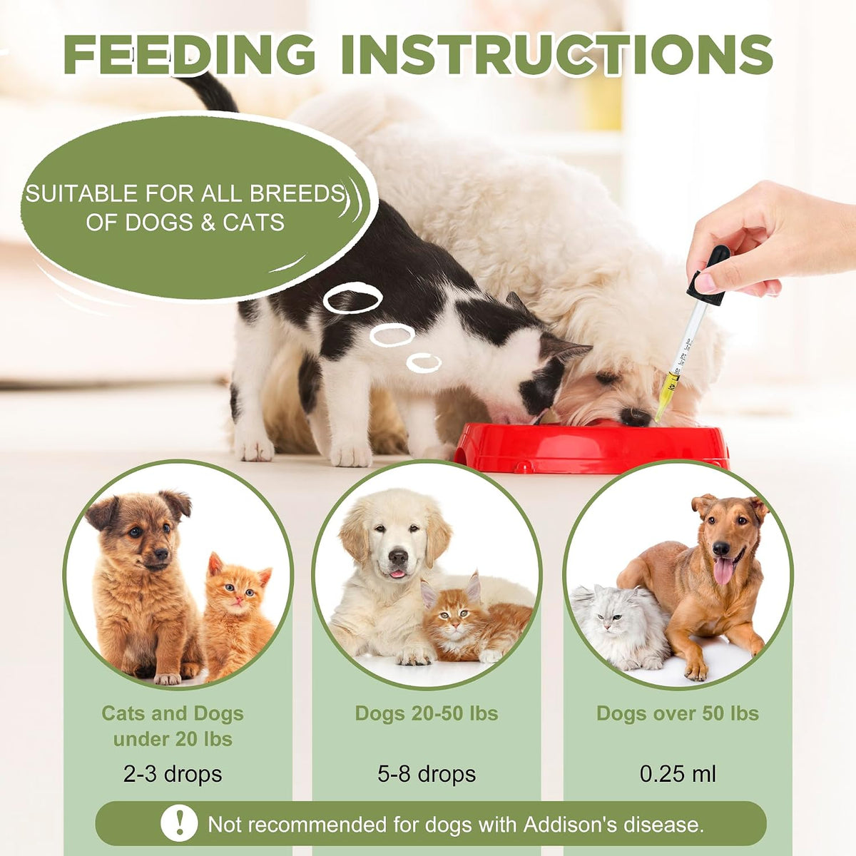 Seizure and Epilepsy Supplement for Dogs and Cats, Nervous System Support, Natural Herbal Help for Anxiety, Muscle Twitching, Drooling and Repetitive Movements - görsel 7