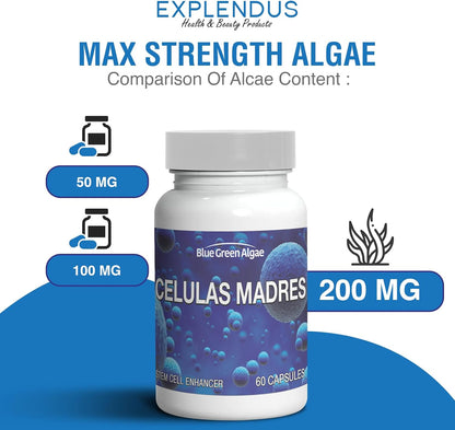 Stem Cell - Celulas Madres Supplement for Anti-Ageing & Longevity, Non-GMO, Gluten-Free, Vegetarian Capsules, 60 Count