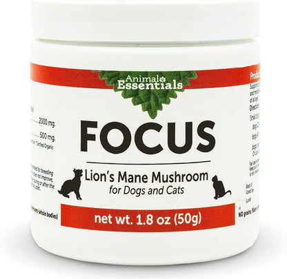 Focus Lion's Mane Mushroom Supplement for Dogs & Cats