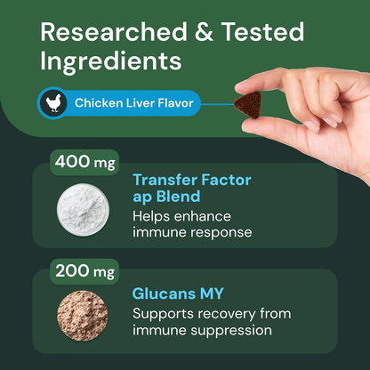 VETRISCIENCE Veterinary Strength DMG Immunity Health Chews - Immune System Support for Dogs & Cats - Liver Function Support - Antioxidant Support for Pets - Chicken Flavour - 50 Count