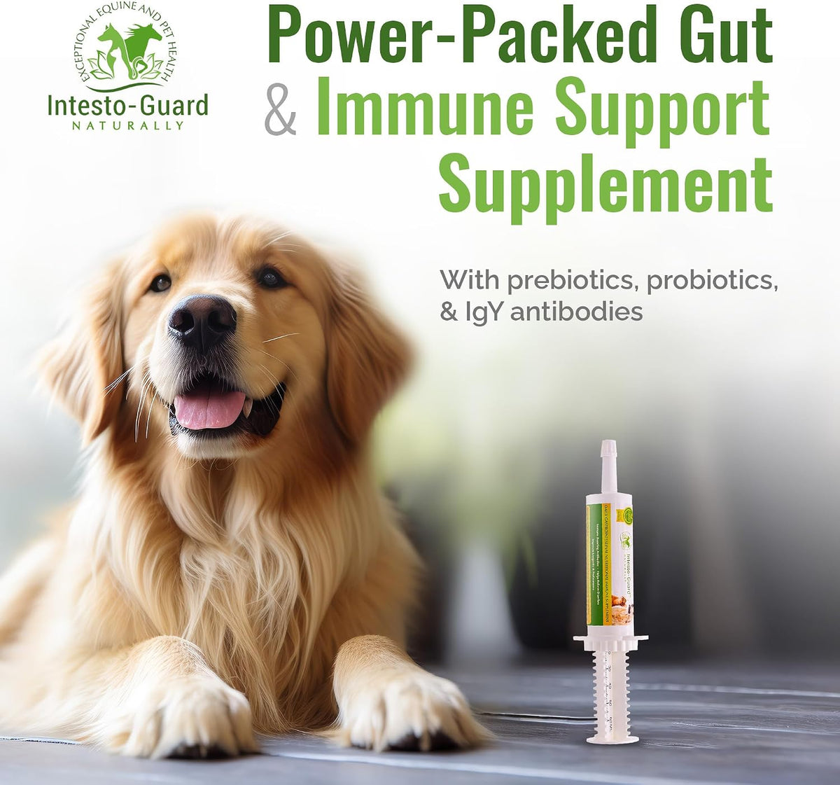 Probiotic Paste for Dogs – Prebiotic Gut Support & Immune Boost, All Natural, 60ml - görsel 2