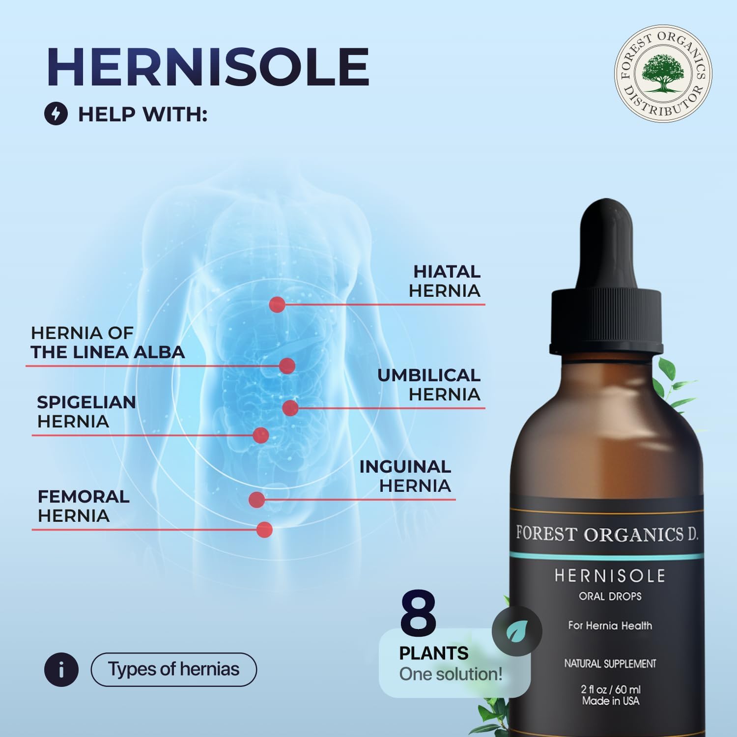 Hernia Health Dietary Supplement – Herbal Support Drops – Concentrated Blend of 24 Plants for Digestive Health - görsel 3