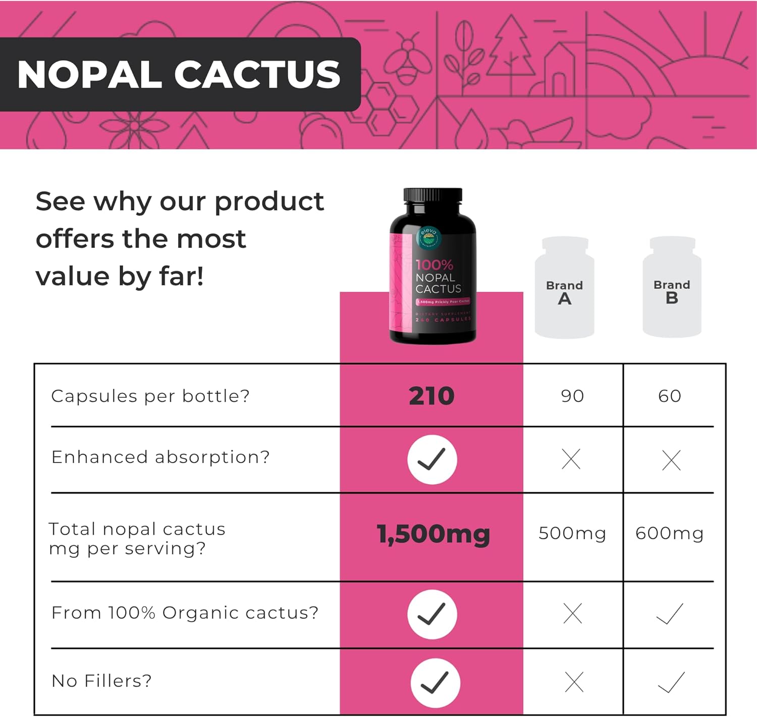 Nopal Cactus Capsules 1500mg – Organic Sun-Dried Prickly Pear Cactus Powder & Black Pepper Extract for Absorption – Natural Prickly Pear Super Supplement, Fibre, Vitamins and Minerals, 240 Capsules - görsel 4