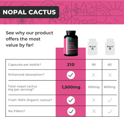 Nopal Cactus Capsules 1500mg – Organic Sun-Dried Prickly Pear Cactus Powder & Black Pepper Extract for Absorption – Natural Prickly Pear Super Supplement, Fibre, Vitamins and Minerals, 240 Capsules