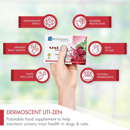 Dermoscent UTI-Zen Cranberry Tablets for Dogs and Cats Food Supplement for Bladder, Kidney & Urinary Tract Health Chicken Flavour - 30 Tablets
