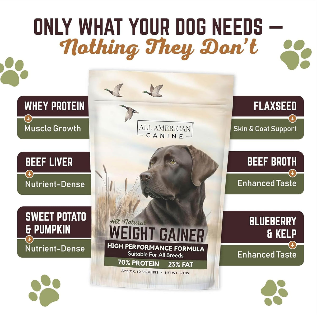 All American Canine Dog Weight Gainer – High Calorie Supplement, 60 Servings - görsel 3