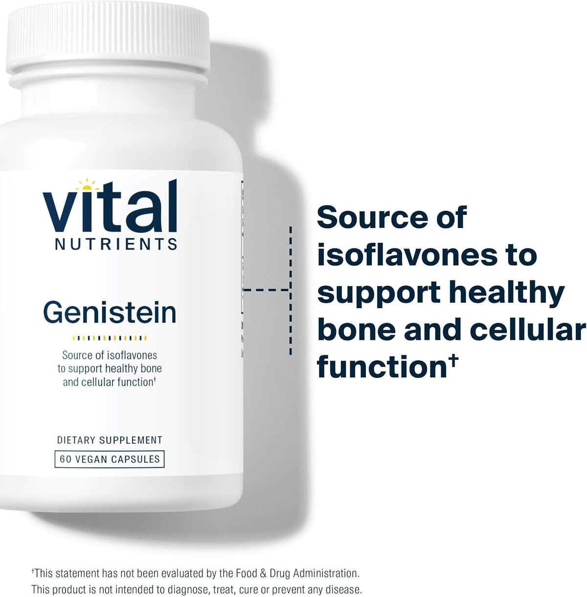 Vital Nutrients Genistein – Easily Absorbed Isoflavones for Bone Health Support – Vegan, Non-GMO, Gluten & Dairy Free – 60 Capsules - görsel 4