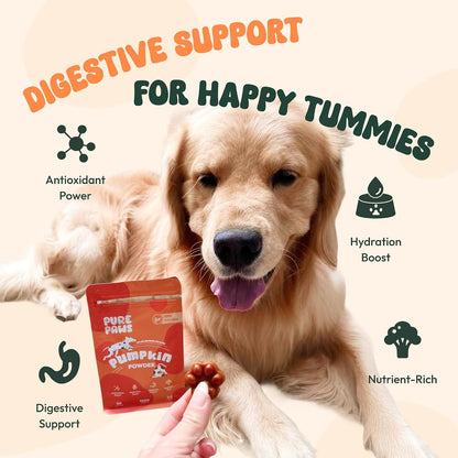 Pure Paws Organic Pumpkin Powder for Dogs, Puppies, Cats, and Kittens - 213g