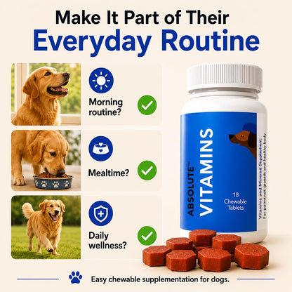 Drools Absolute Vitamin Tablets for Dogs, 110 Count