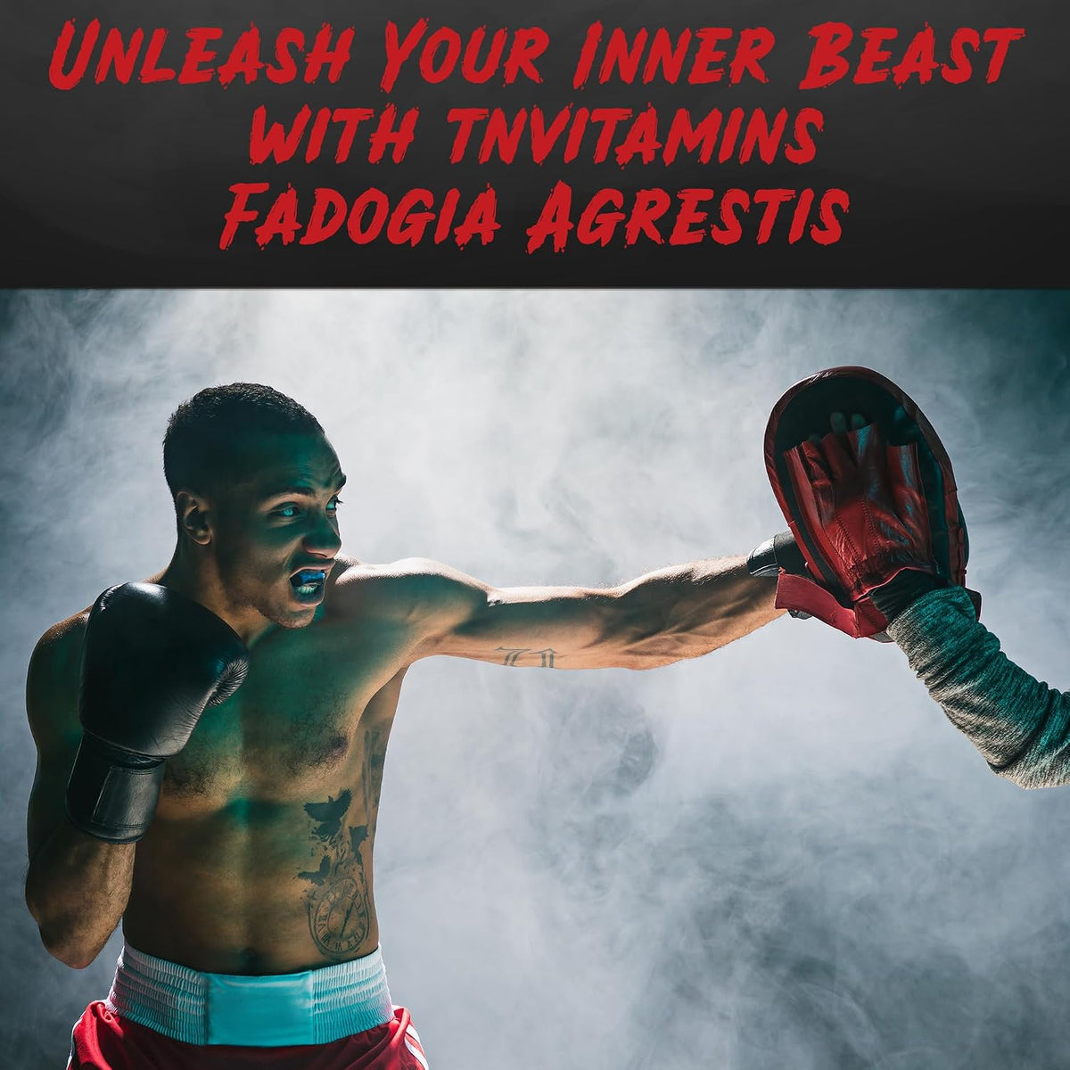 Fadogia Agrestis 1200 mg – 120 Capsules | – Strength & Power: May support physical performance and resistance. – Image 6