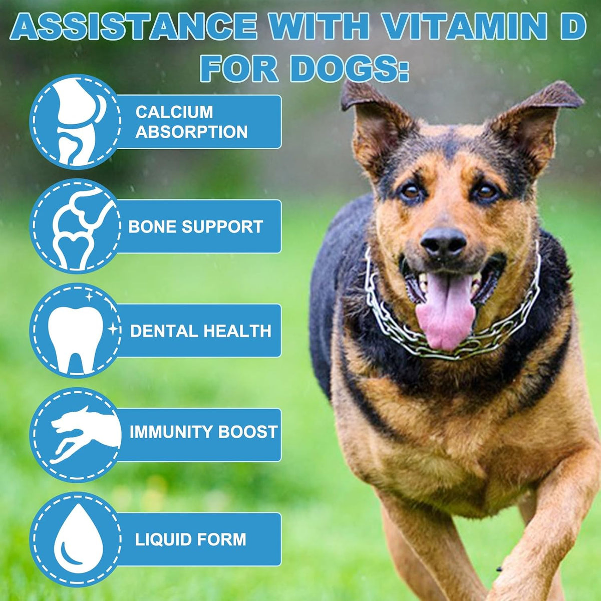 FSLHCY Dog Vitamin D Supplement – Liquid Vitamin D for Dogs, 60 ml – Supports Strong Bones & Immune Health - görsel 2
