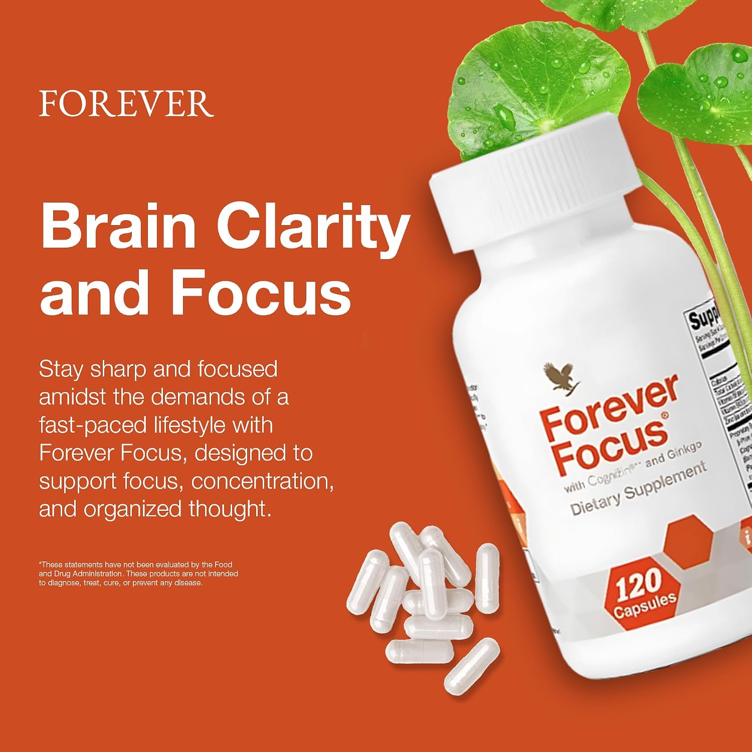 Forever Focus - Brain Clarity and Focus Supplement with Cognizin, Bacopa, and B Vitamins (120 Capsules) - görsel 4