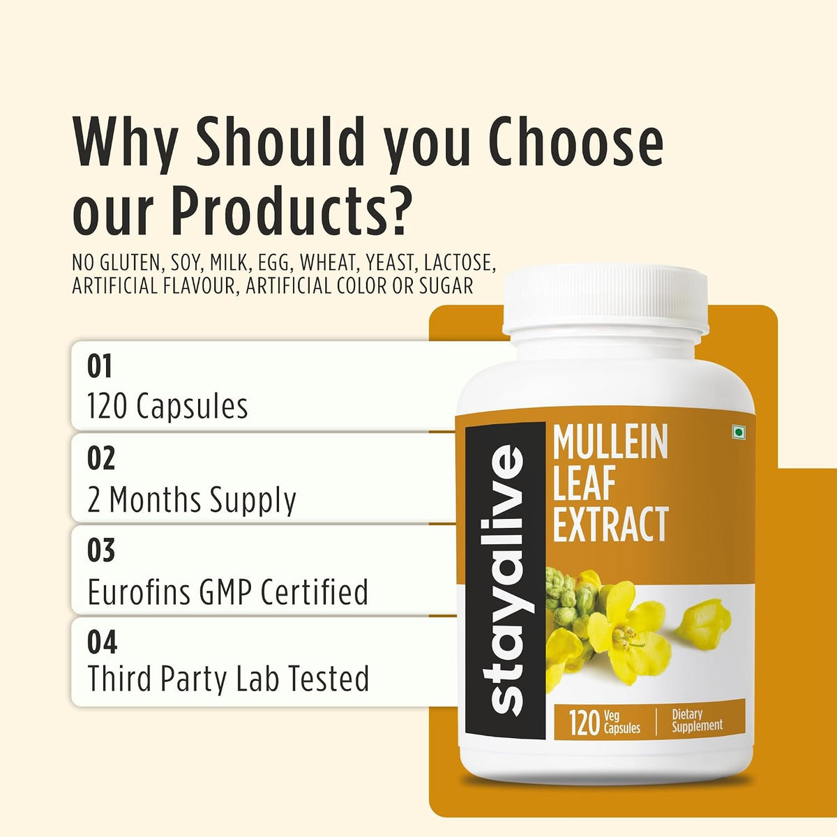 Mullein Leaf Extract 1000mg, 10:1 High Strength - 120 Vegan Capsules - görsel 5